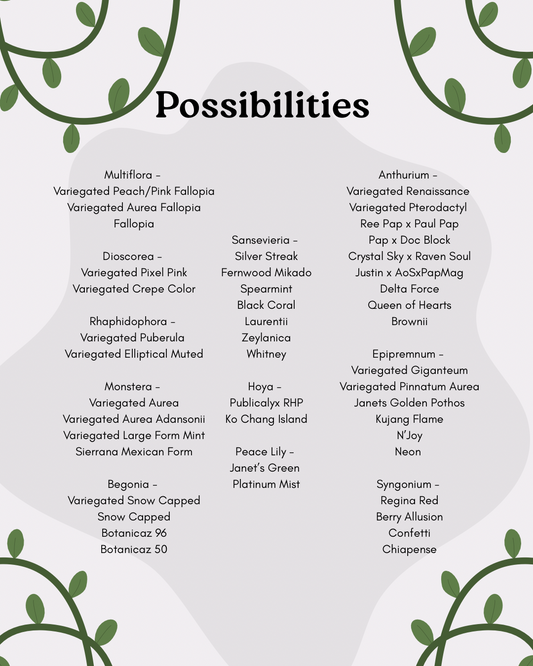 Mixed Mystery Bundle Deals