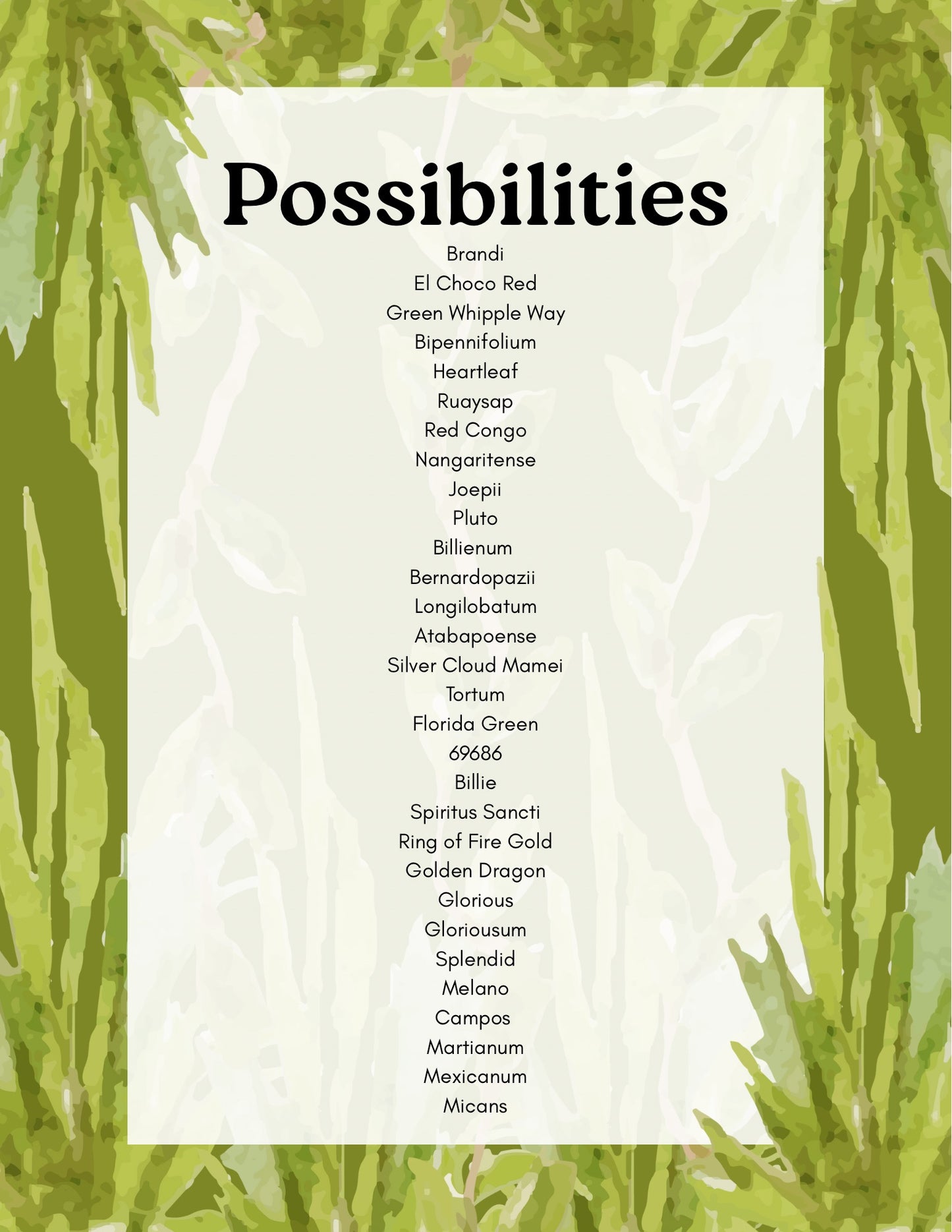 Philodendron Mystery Bundle Deals