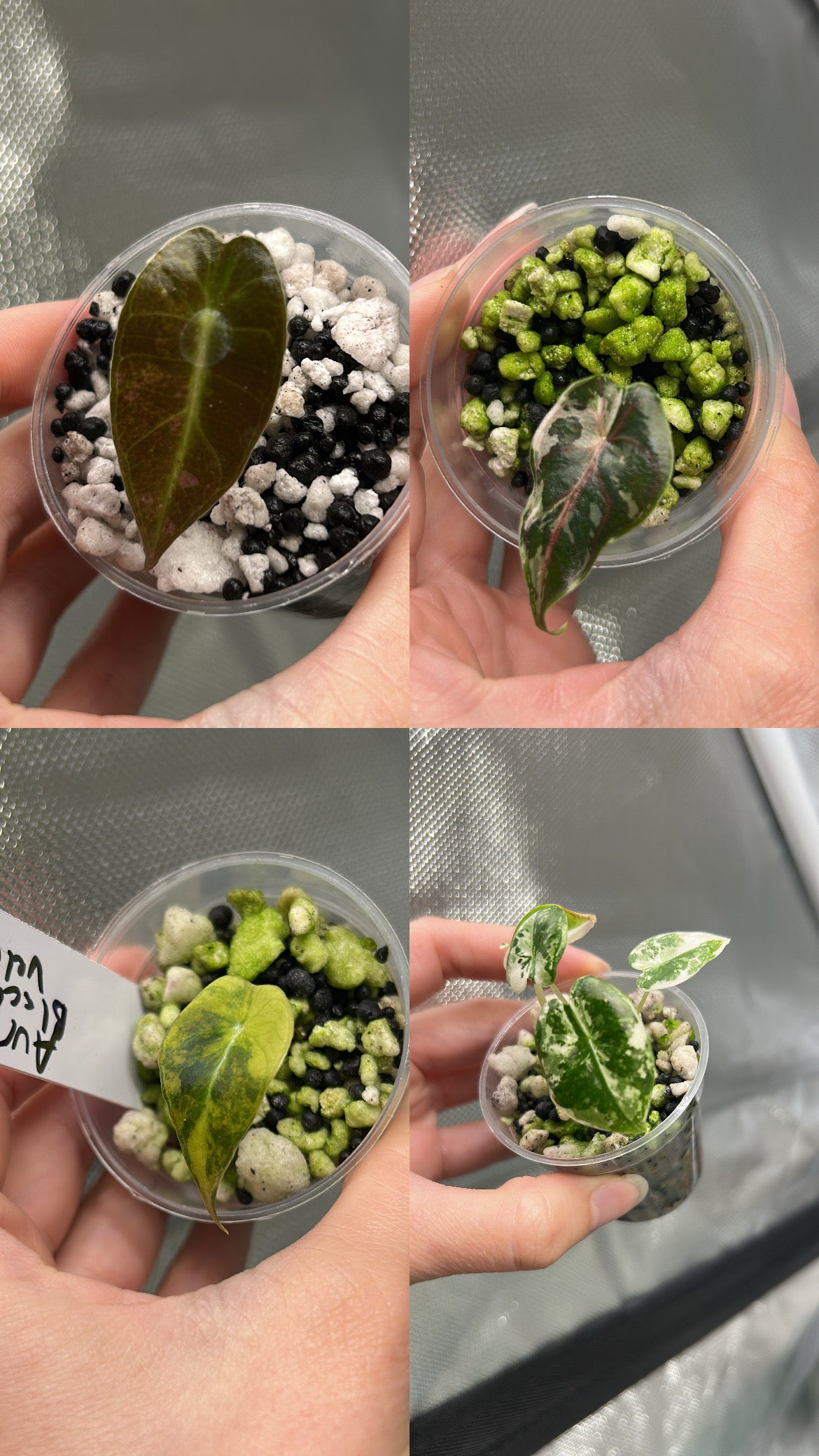 Mixed Mystery Bundle Deals