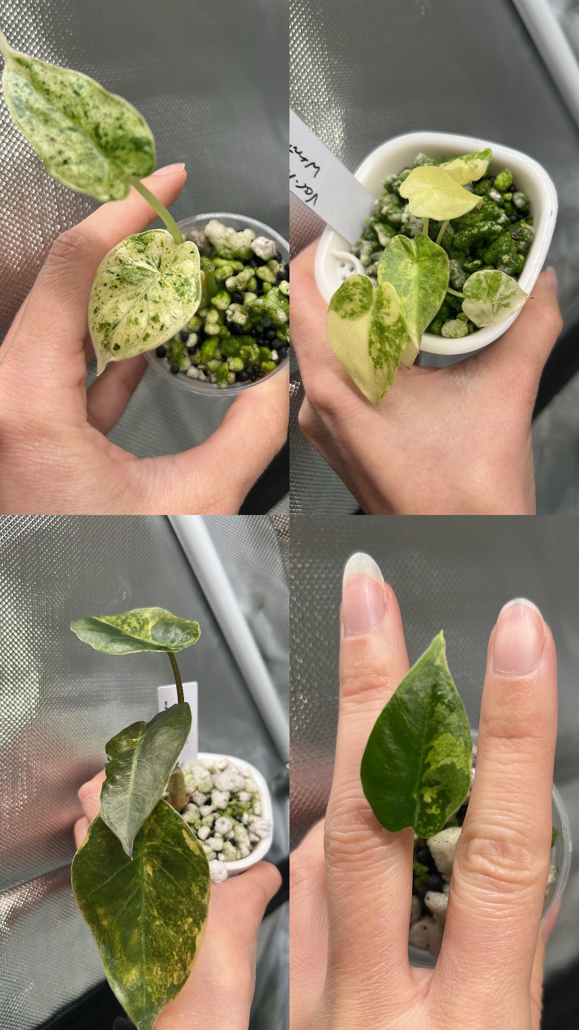 Mixed Mystery Bundle Deals